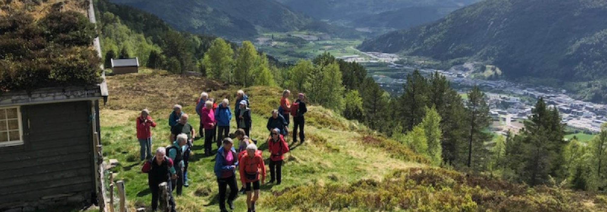 Natur & kultur - midtsommar på Hornnesstøylen