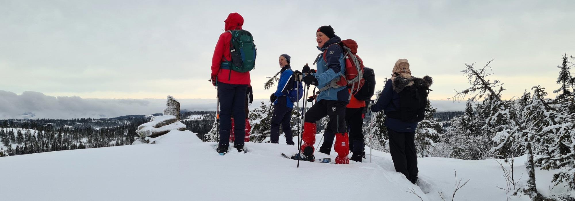 ÅSGRUPPE - MANDAGSTURER PÅ ØSTRE TOTEN: TORSÆTRA - LOMMATBERGET - TORSÆTRA