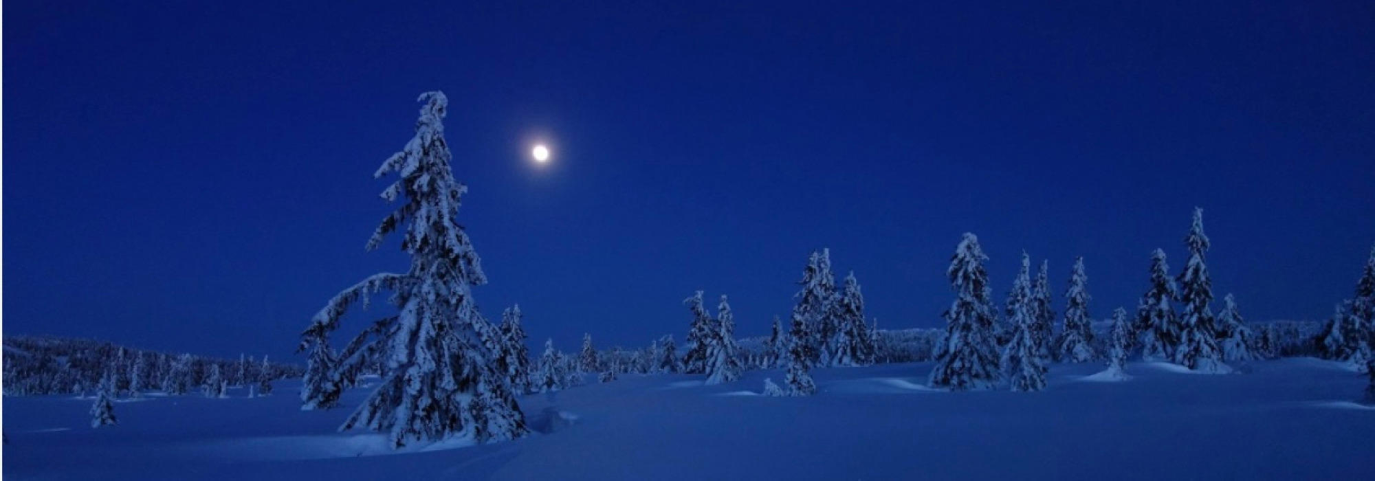 Måneskinnstur Damtjern-Storflåtan