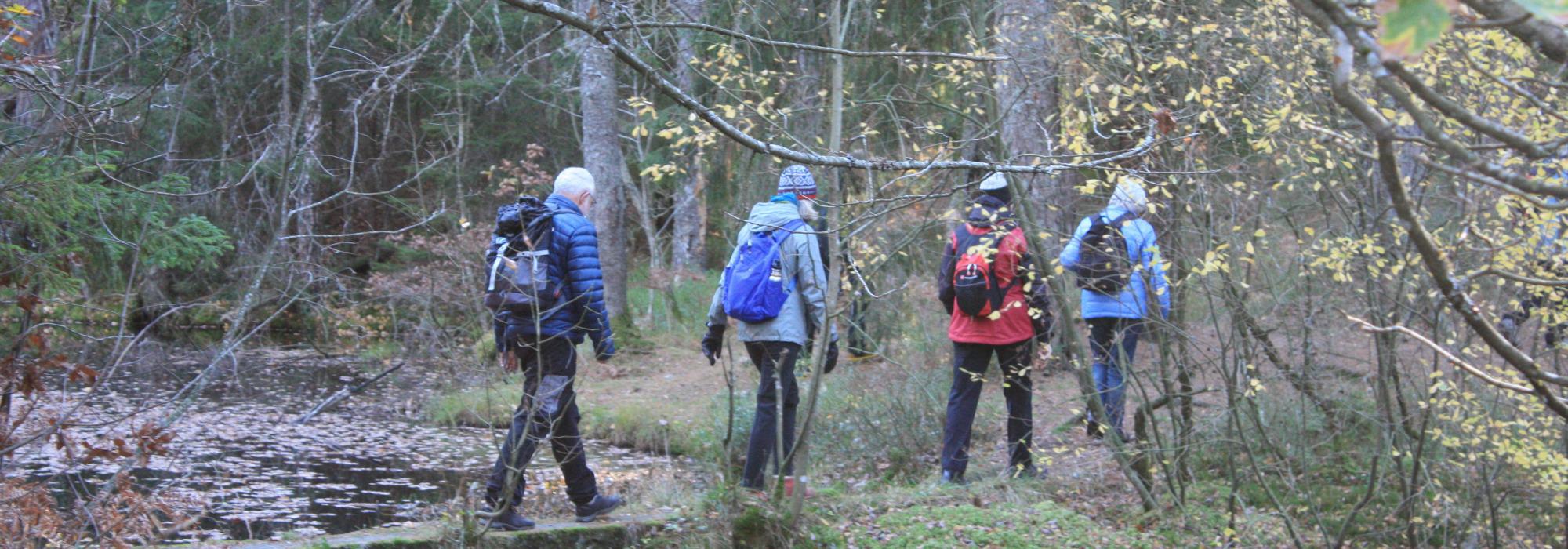 AAT - tur på dagtid - Sagvannet - Stoa - Åsbieskogen, Arendal