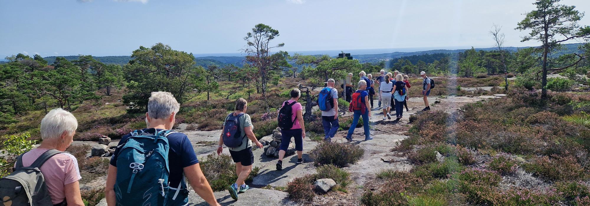 AAT - tur på dagtid - Reinsvassnuten, Gautefallheia, Nissedal