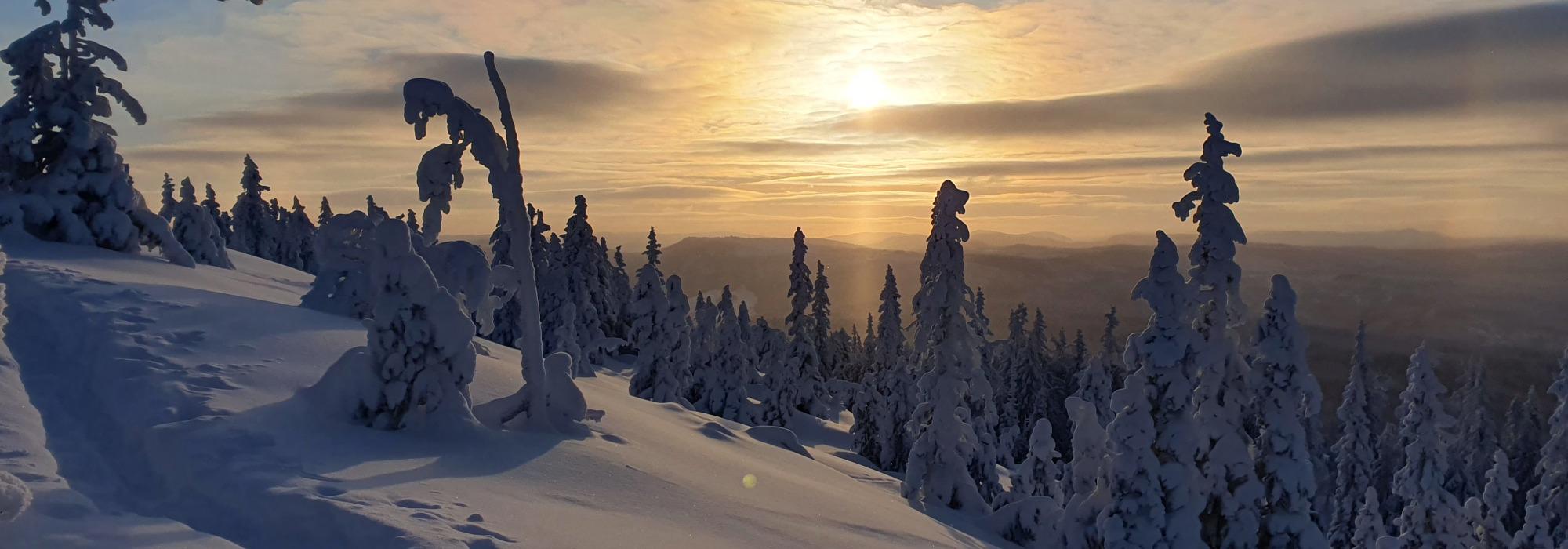 TRUGETUR TIL TJUVÅSKAMPEN I MÅNESKINN