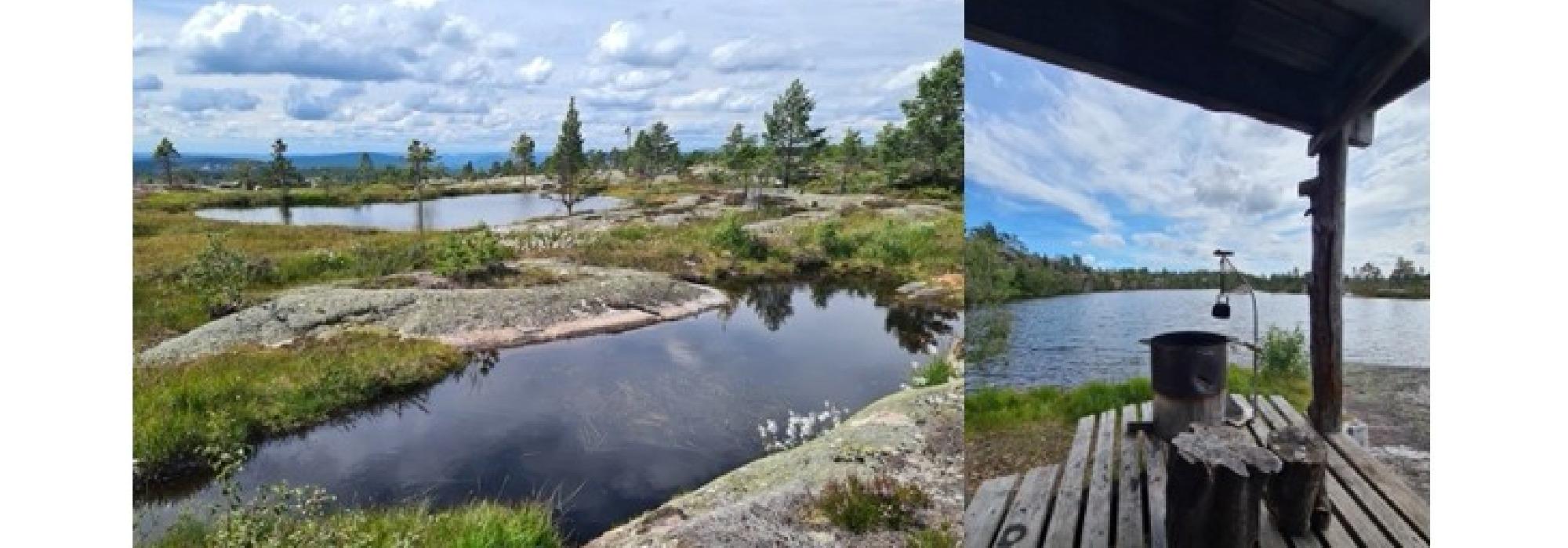 Onsdagstur til Holmtjennheia i Drangedal