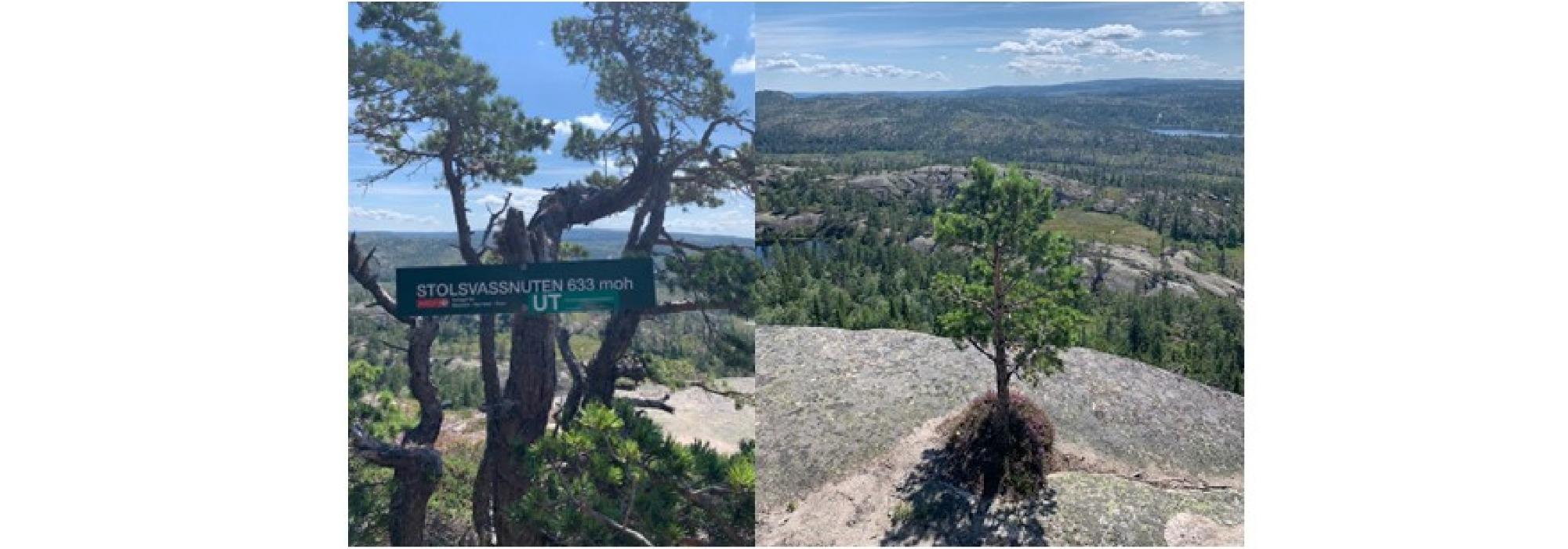 Onsdagstur til Stolsvassnuten i Nissedal