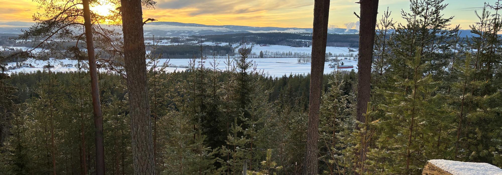 Gløggtur opp på Lena`s plass