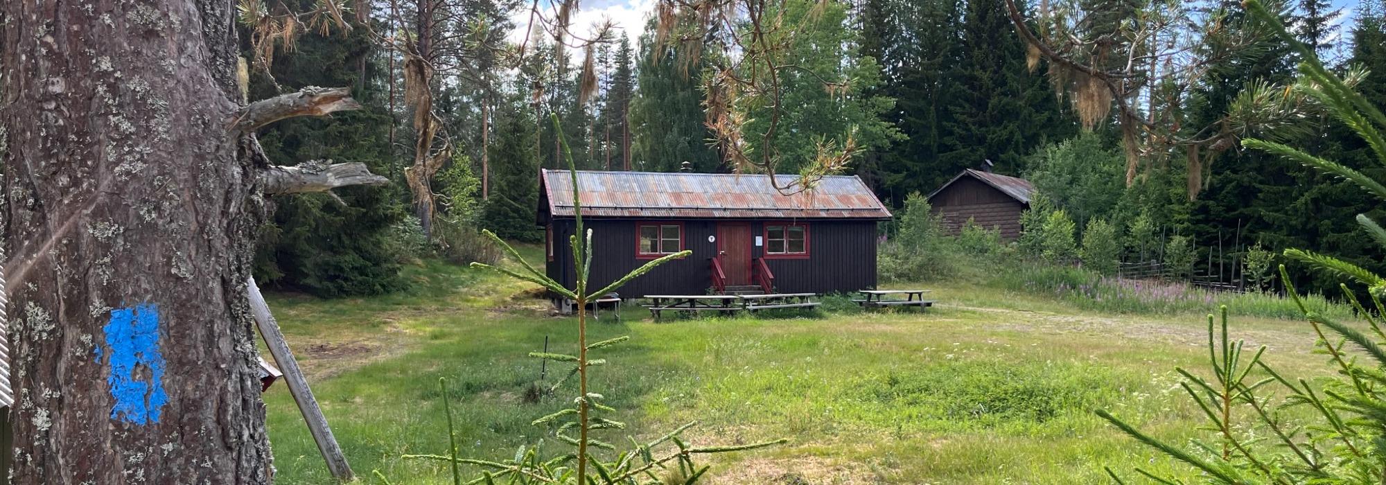 Natt i naturen på Kynndammen