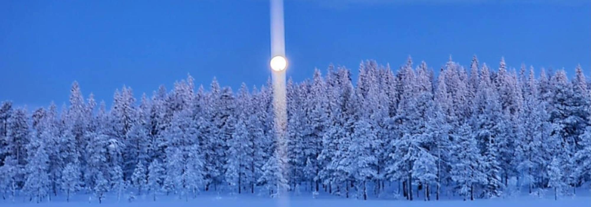 Måneskinnstur til Stavåsdammen