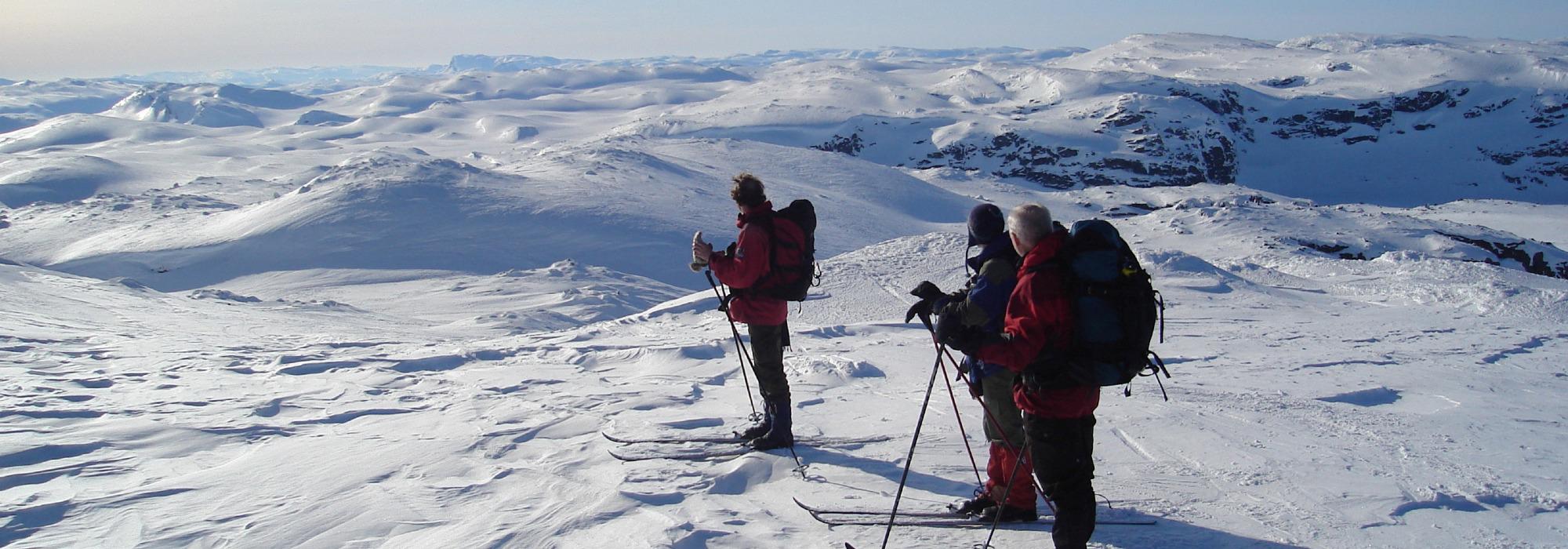 Dagstur med guide - Bolhovdskarvet 1699 moh