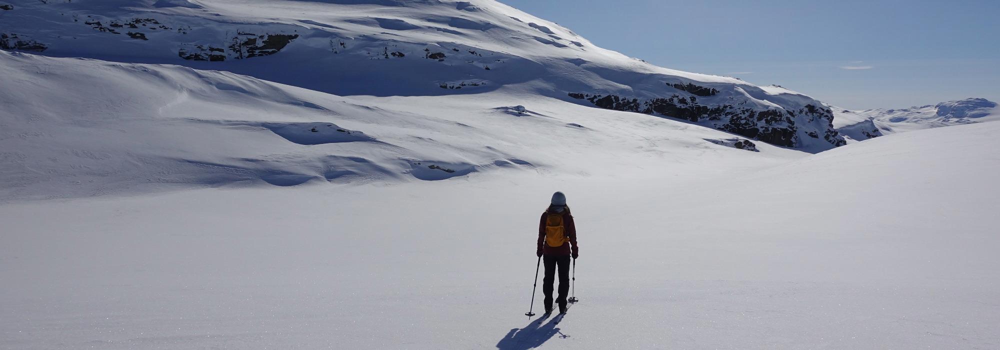 Dagstur med guide- Storfonnosi 1602 moh