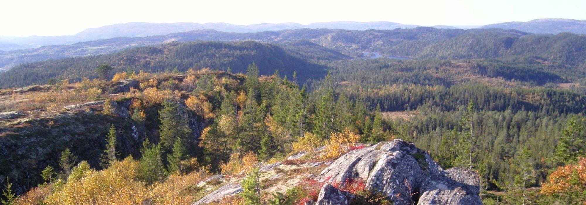 Fra Vanvikan til Rørvik over Storhaugen