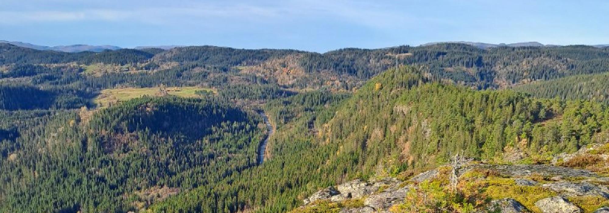 Rundtur over Høgskjæret (325 moh)
