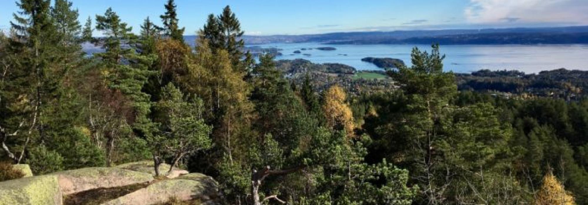 Kultur i natur: Ramsåsen med historiske hytter