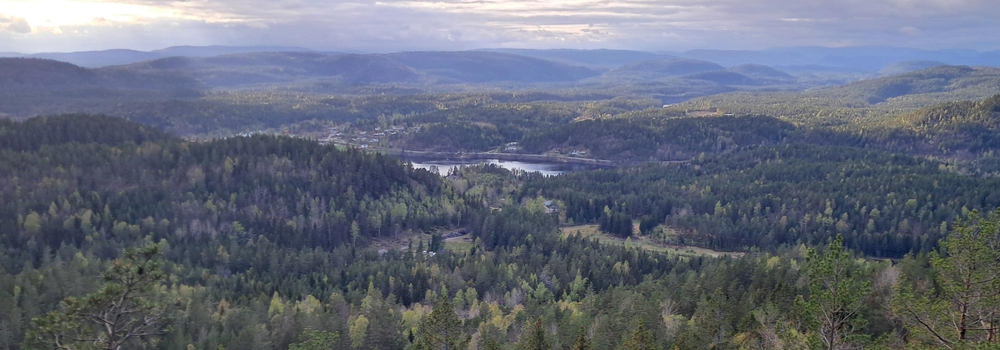 Tur til Svanroskøllen og Dyvikheia