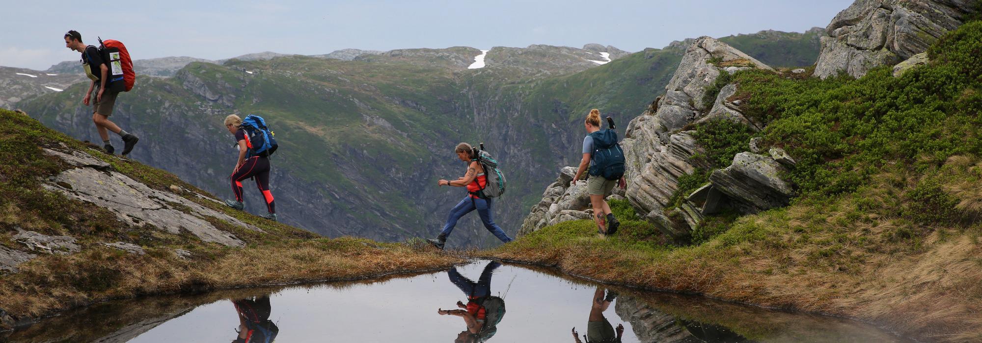 Grånosi i Engjadalen