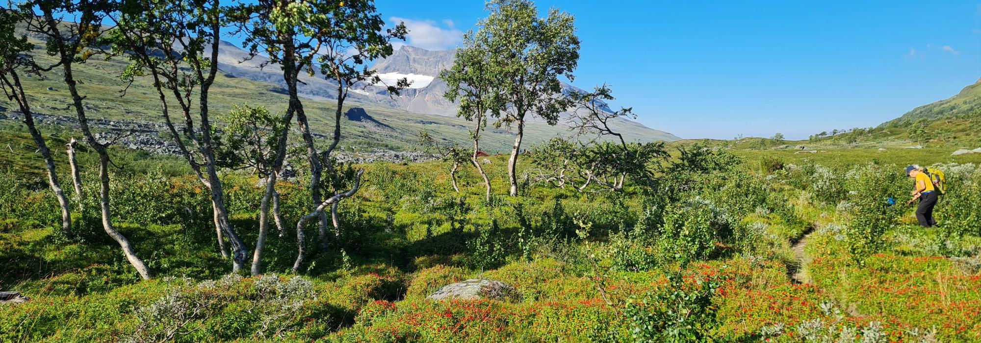 DNT Senior Troms Overnattingstur  på Dividalshytta 19-21 august