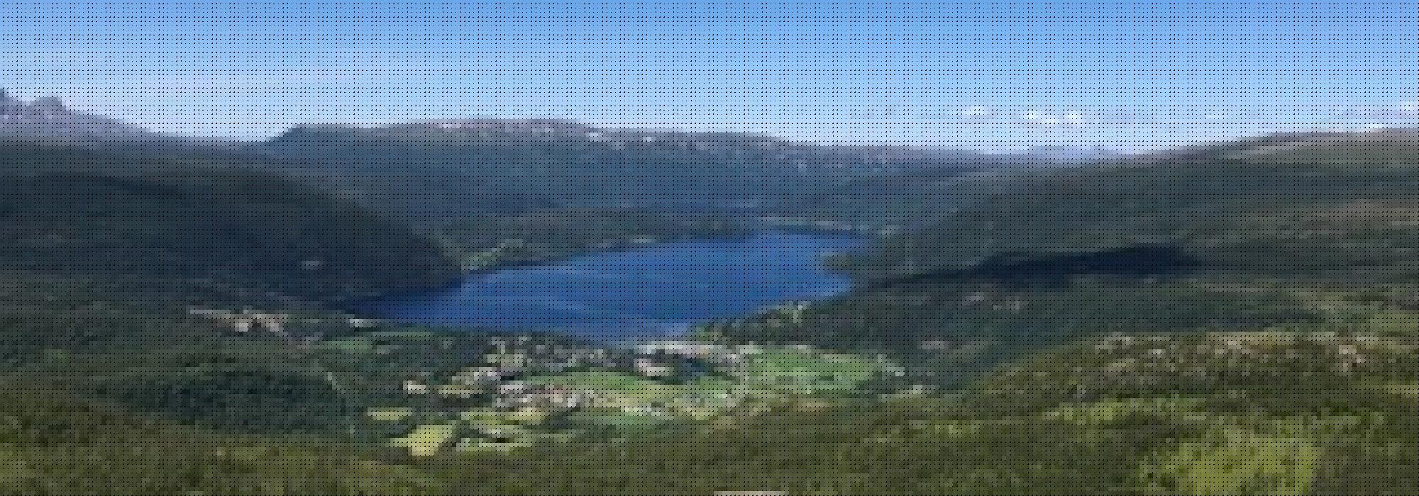 Blånakken, Misvær