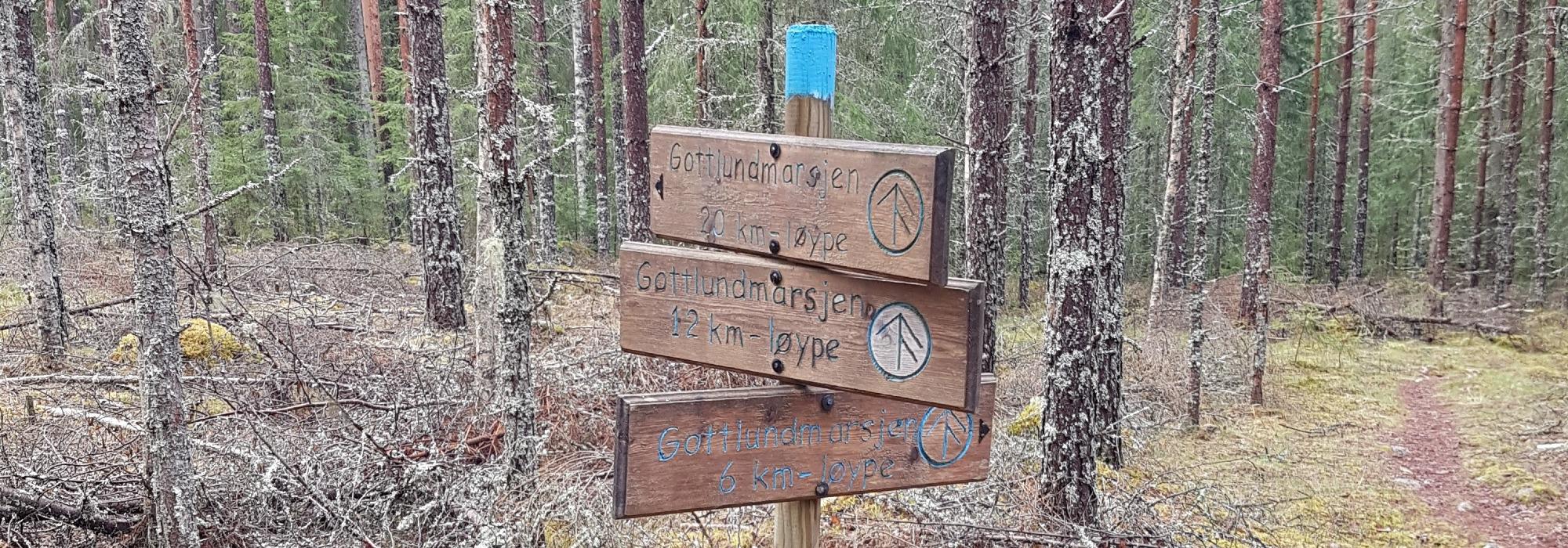 Gottlundmarsjen, Svullrya