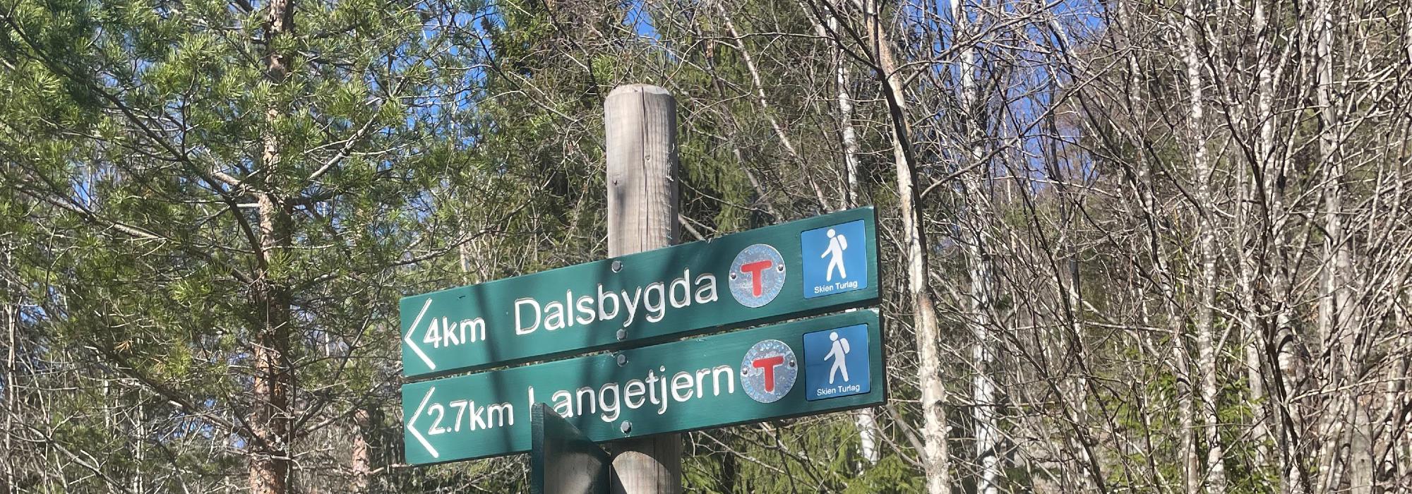 Til Ulvskollen med hund.