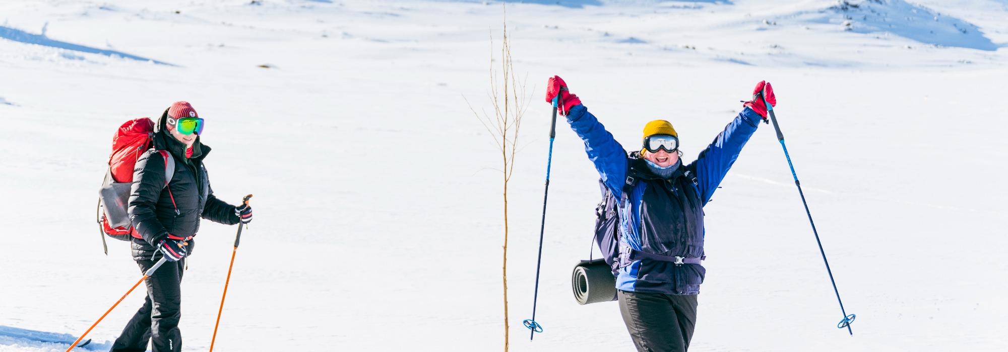 Skiturer 1200 moh - Skarvheimen og Hardangervidda (vv26)