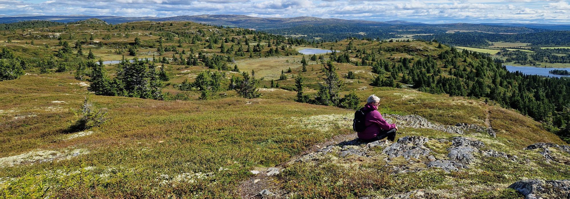 Formiddagstur Øyer - til Skjennfjellet