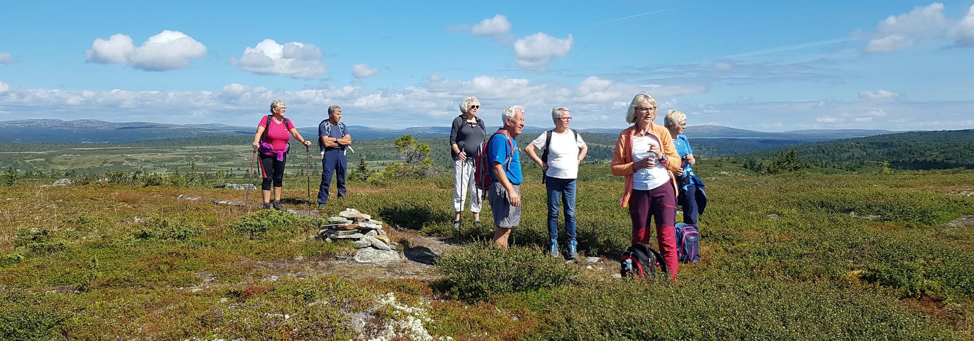 Formiddagstur Øyer - Øyerfjellet