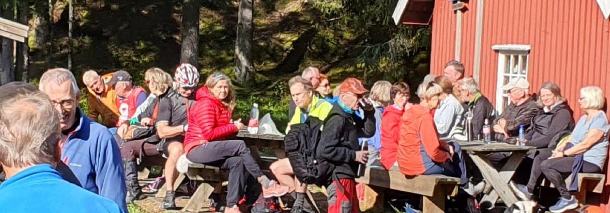 Tur til Budalsvika (kort tur)