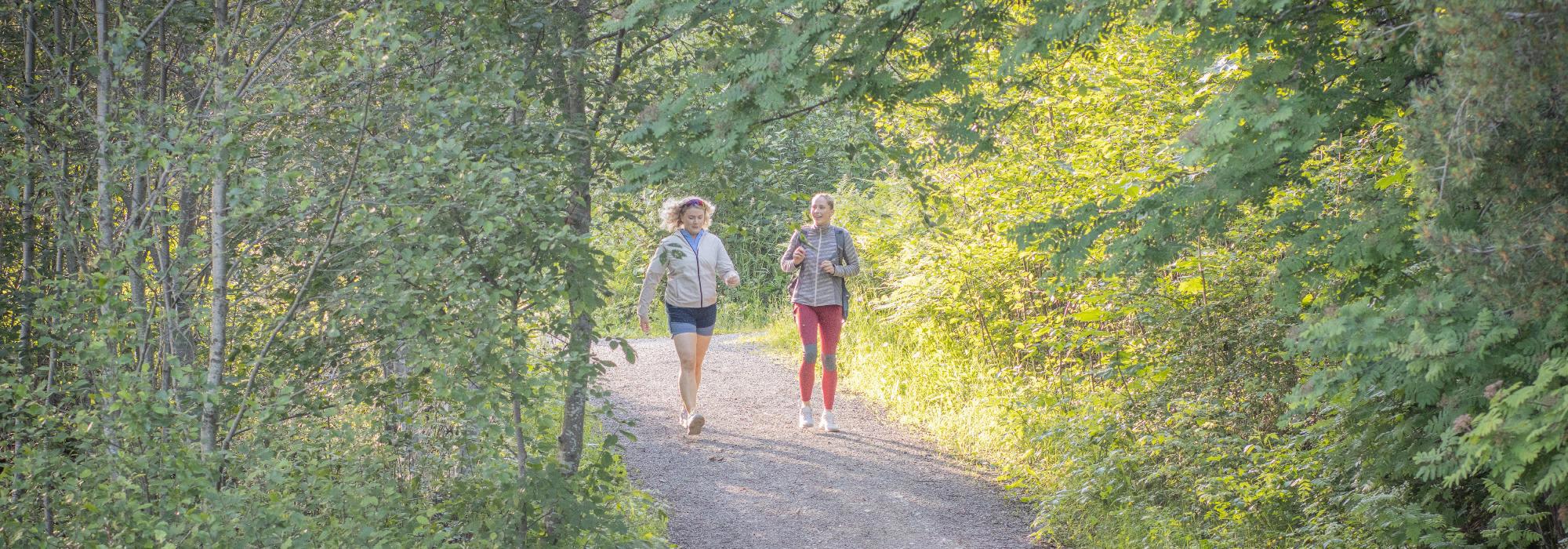 Mandagsturen: Frøbergsberget-Jessnes-Furuberget