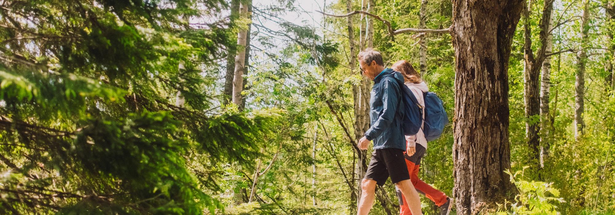 Tegnspråklig DNT - Tur langs Ljanselva fra Skullerud