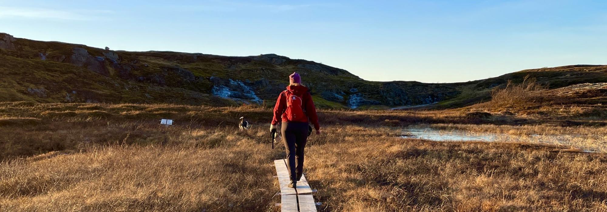 Tur til Ørntinden på Korgfjellet