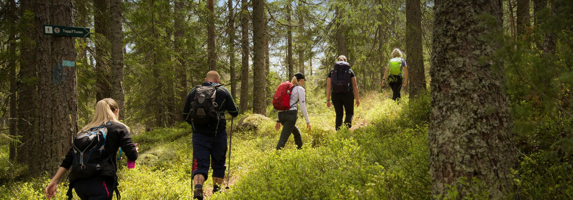 Treningstur til Topp7/Topp3