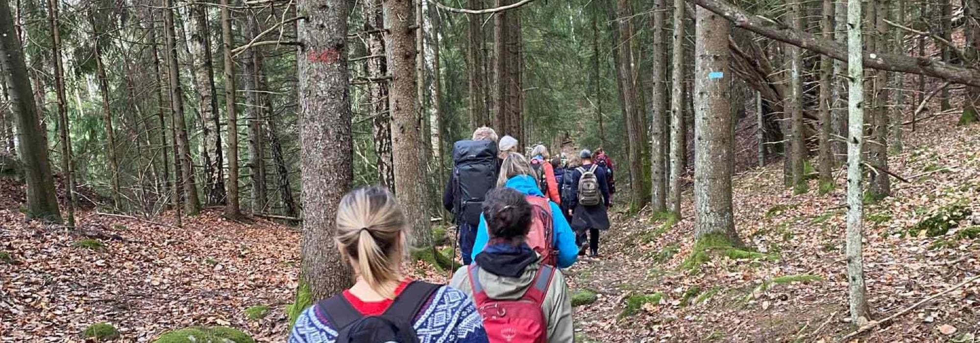Tirsdagstur med DNT Vansjø - Ekholt og Fuglevik