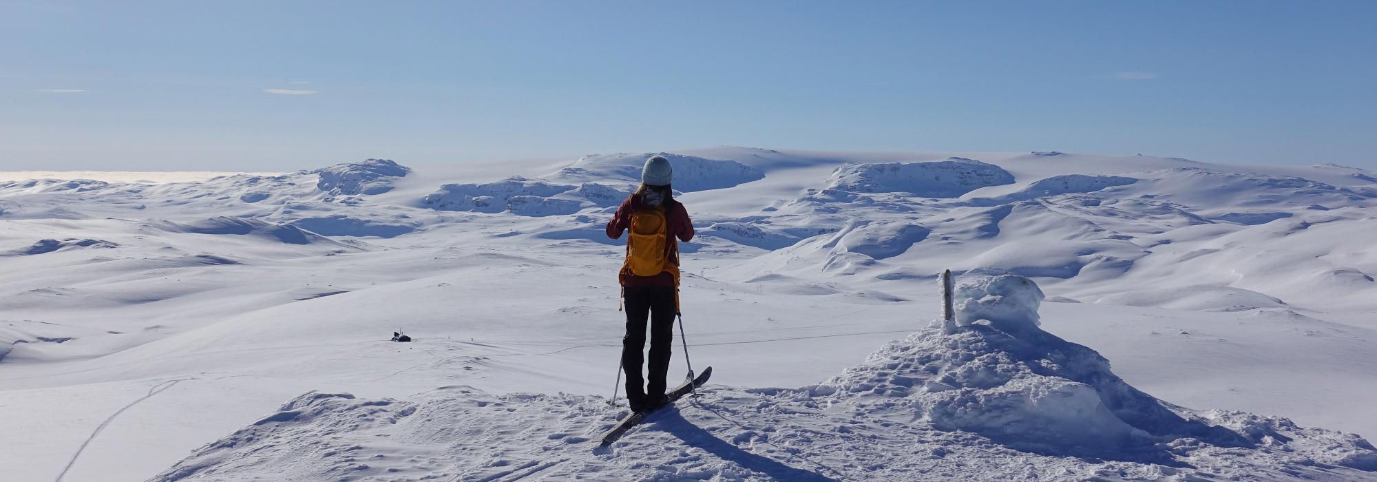 Vårskiturer på Finse 60+ (vv26)
