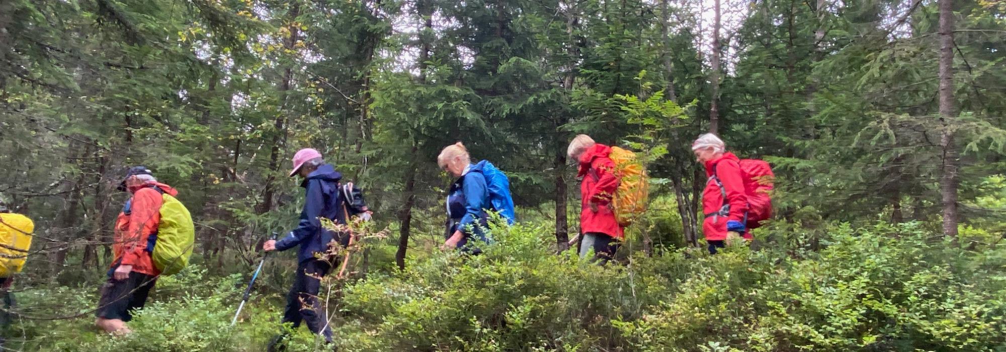 AKTIV I 100 TORSDAGER FRA ØSTERNVANN OG ANDRE STEDER
