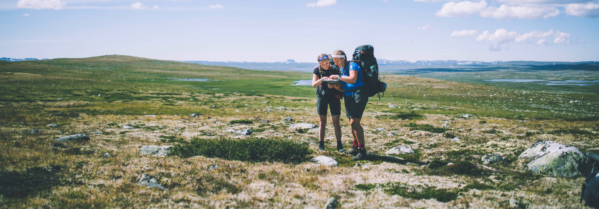 Midt på Hardangervidda (vs26)