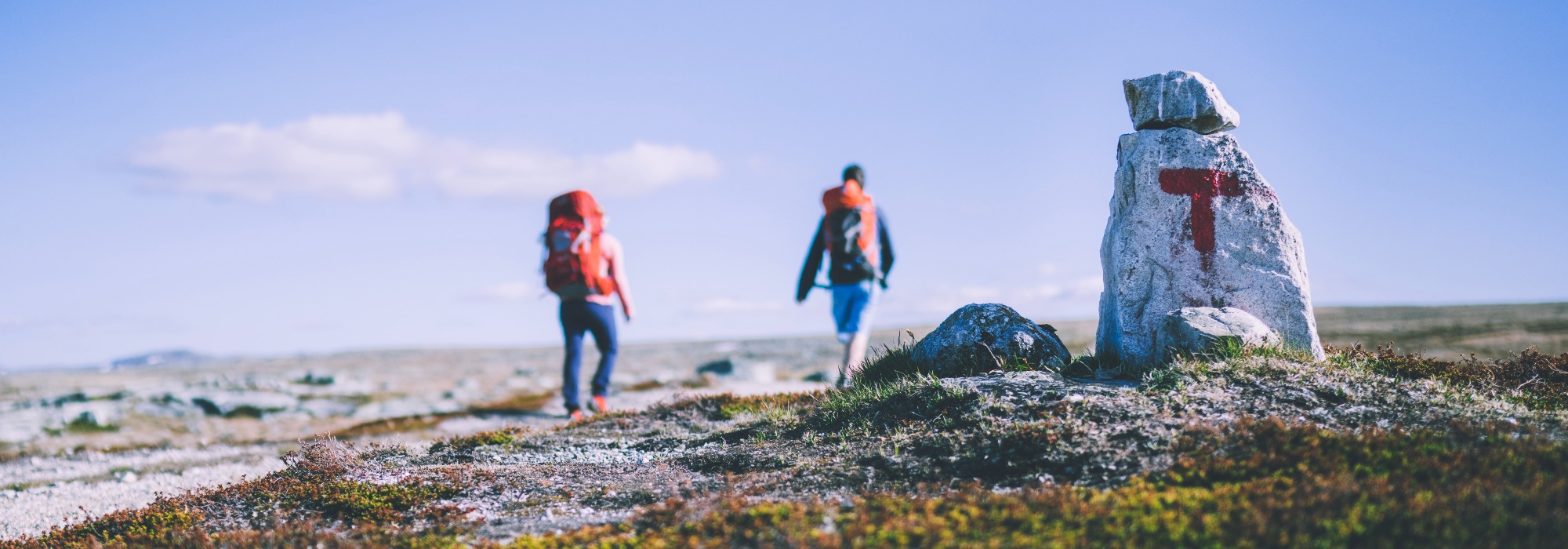 MASSIV Hardangervidda sommer(vs26)