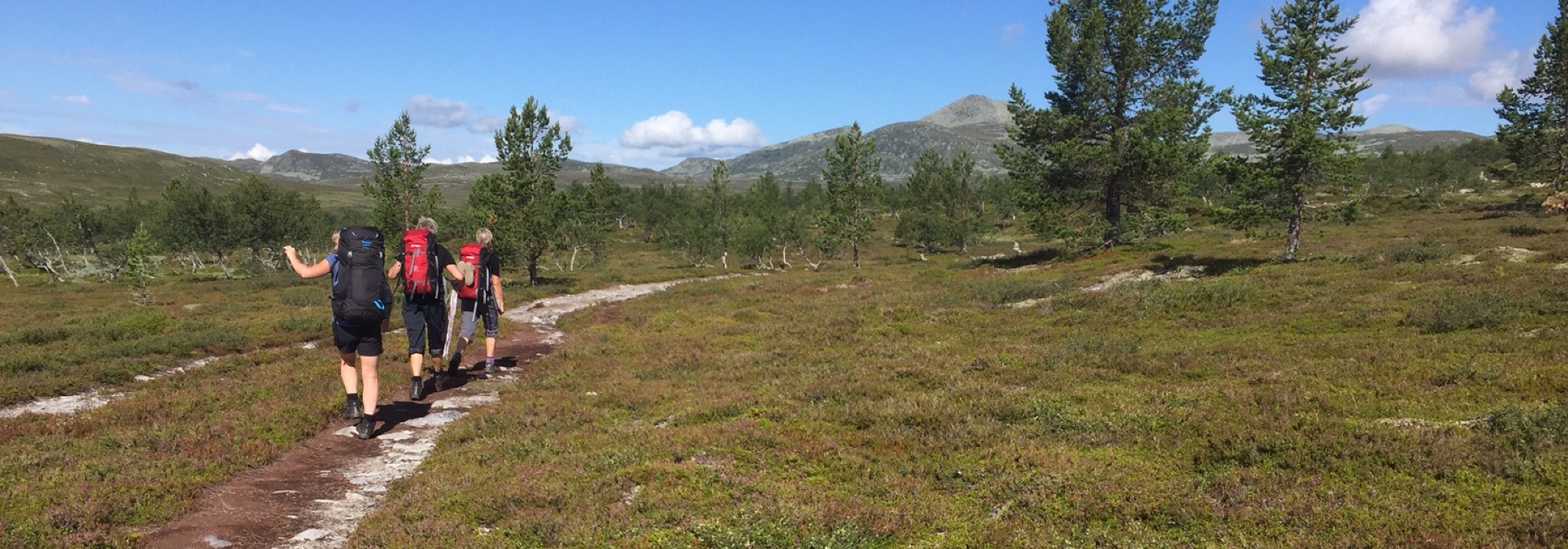 Gjennom Femundsmarka (vs26)