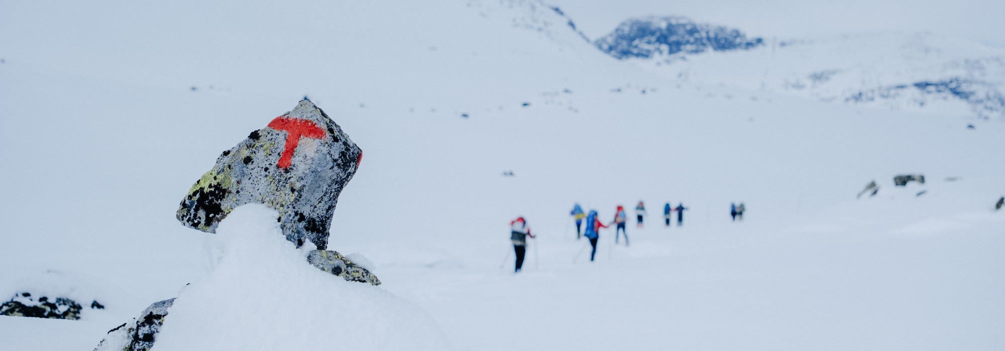 Rundtur i Jotunheimen Vest (vv26)