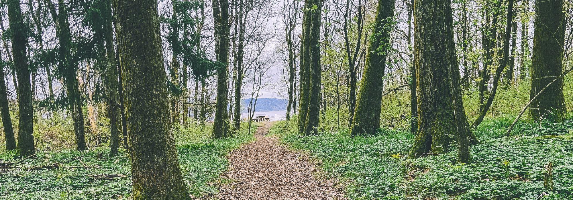 Natur og Matkultur - Avslutningstur til Århus gård