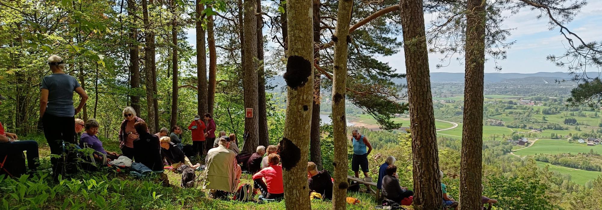 Lavterskeltur med Skien Turlag til Fjelldalen