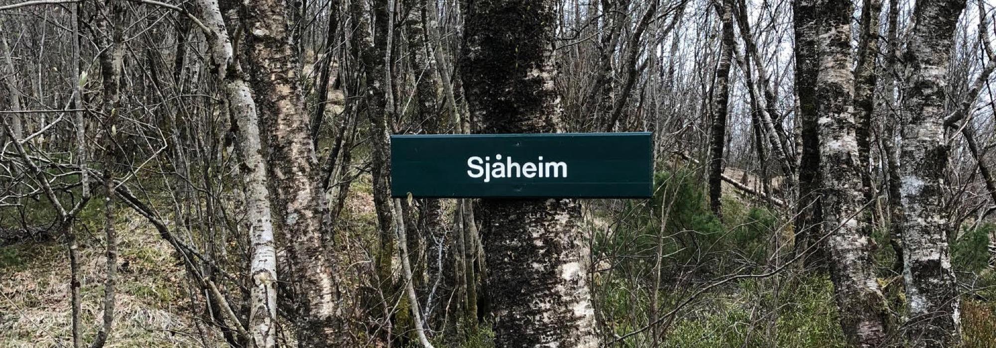 Barnas turlag: Kveldsmattur med refleksløype til Sjåheim