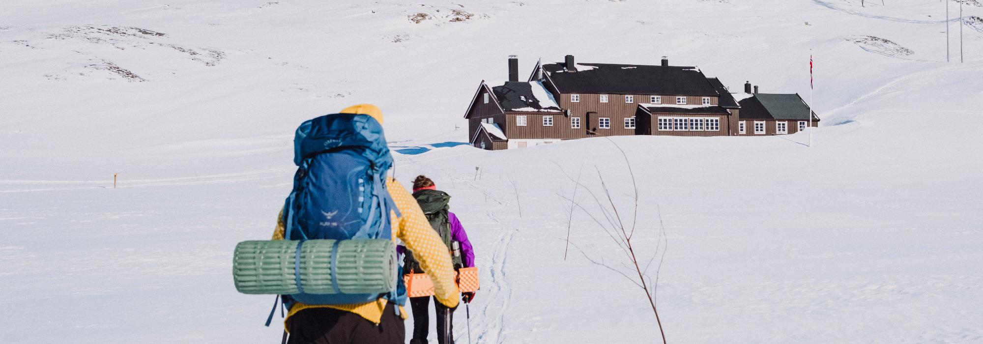 Gullruta i Skarvheimen (vv26)