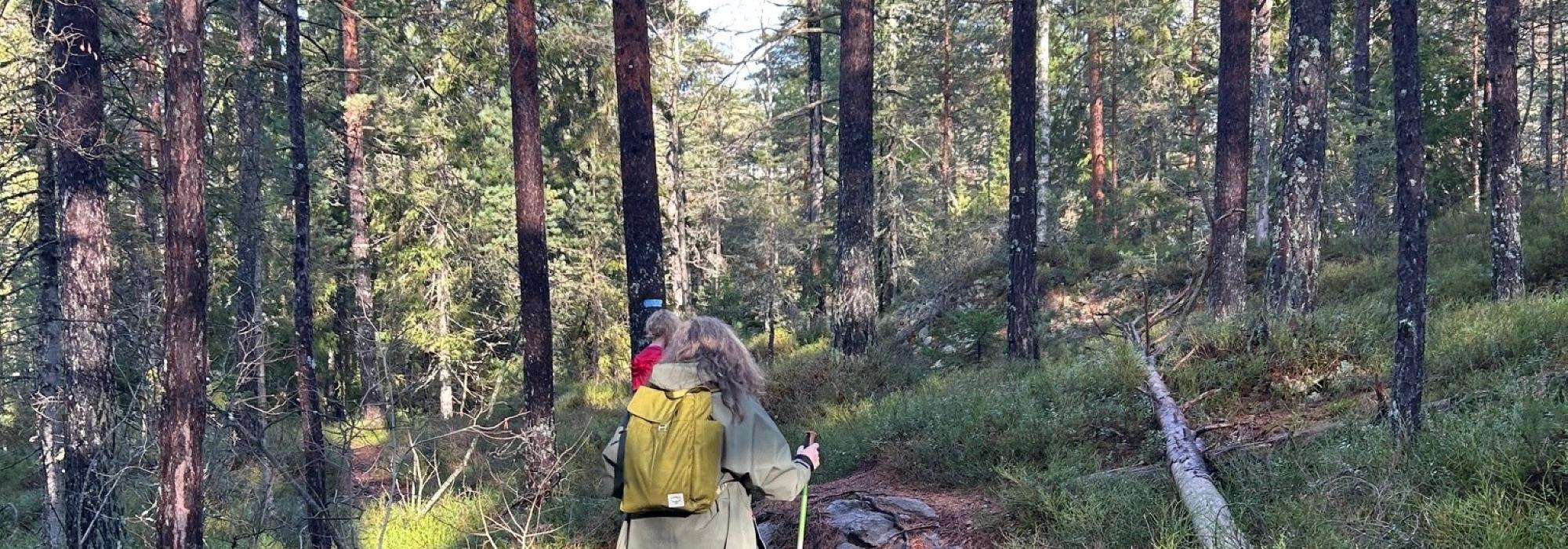 Vintertur på beina - fra Gjøfjell til Myklerud via Gaupa