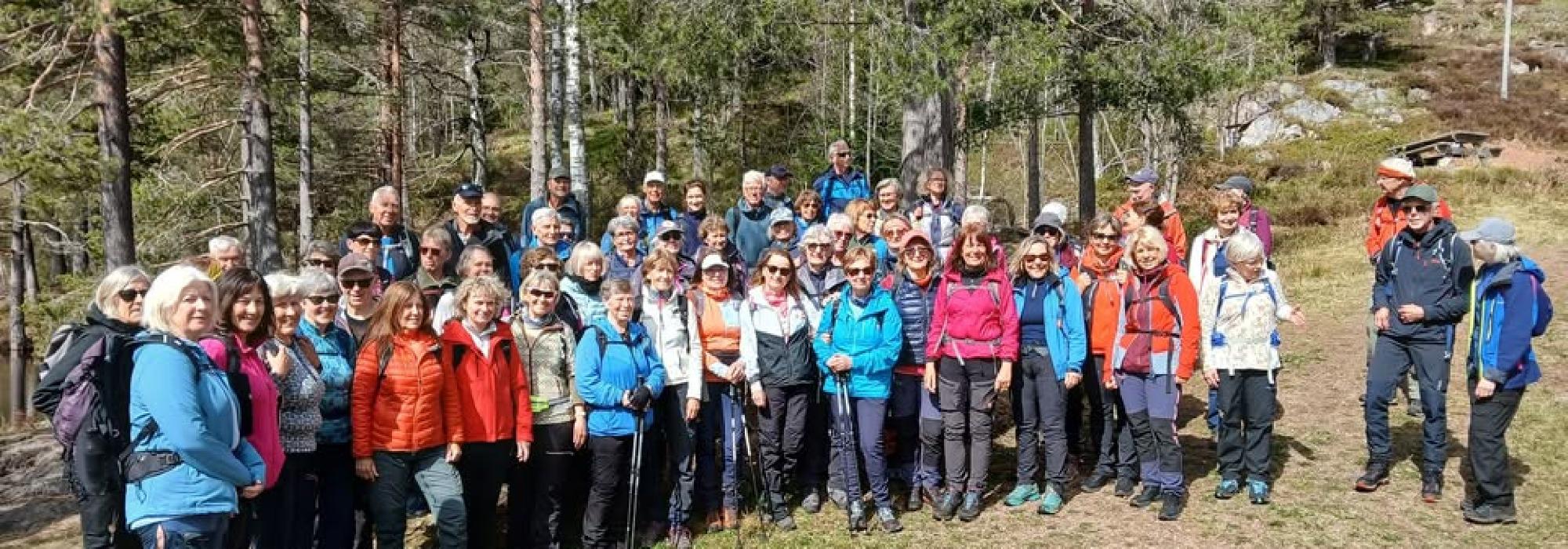Ut på tur Drammen. Mjøndalsskauen
