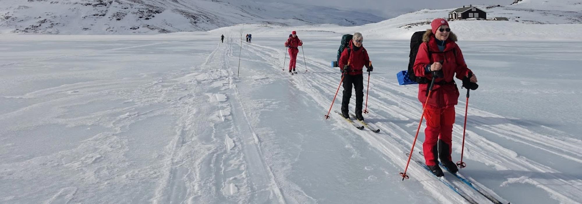 Skiturer fra Iungsdalshytta 60+ Skarvheimen (vv26)
