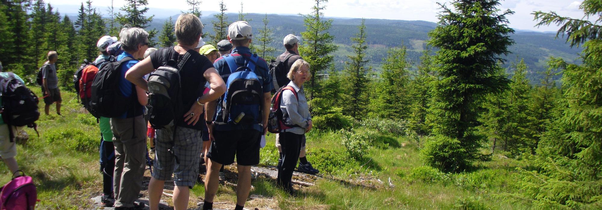 Tindebestigning i Sørkedalen: Stubberudseterhøgda og Råkollen