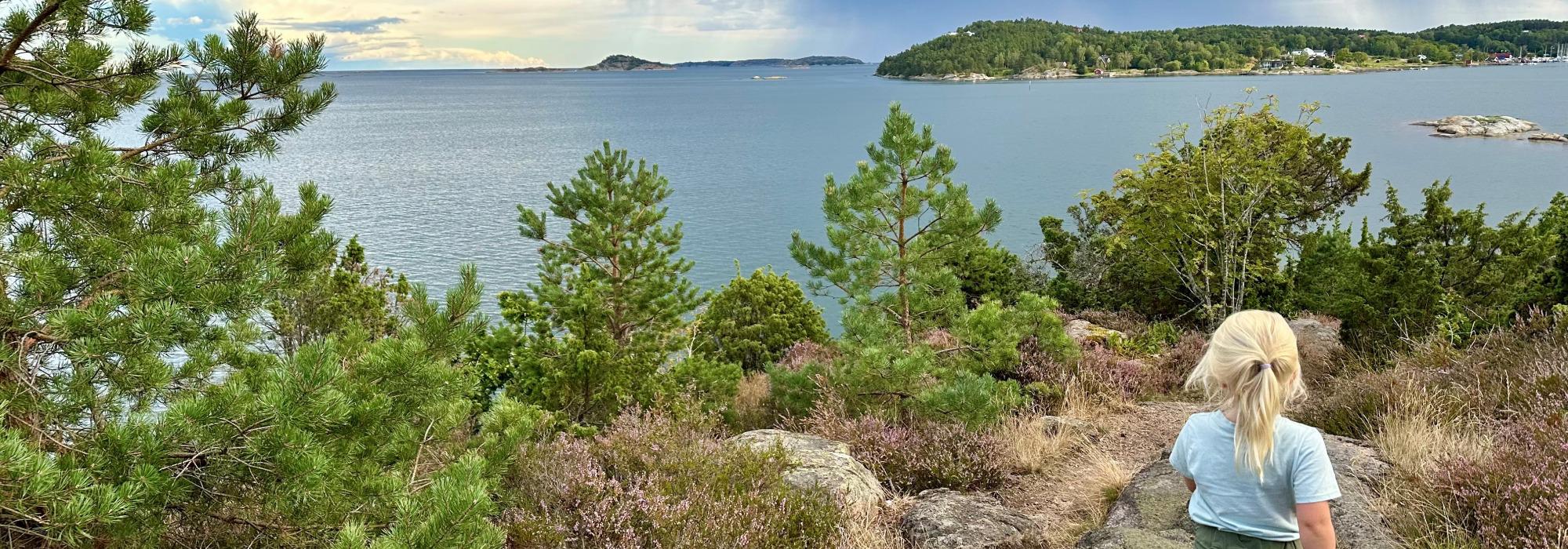Turbotur til Nestvikodden