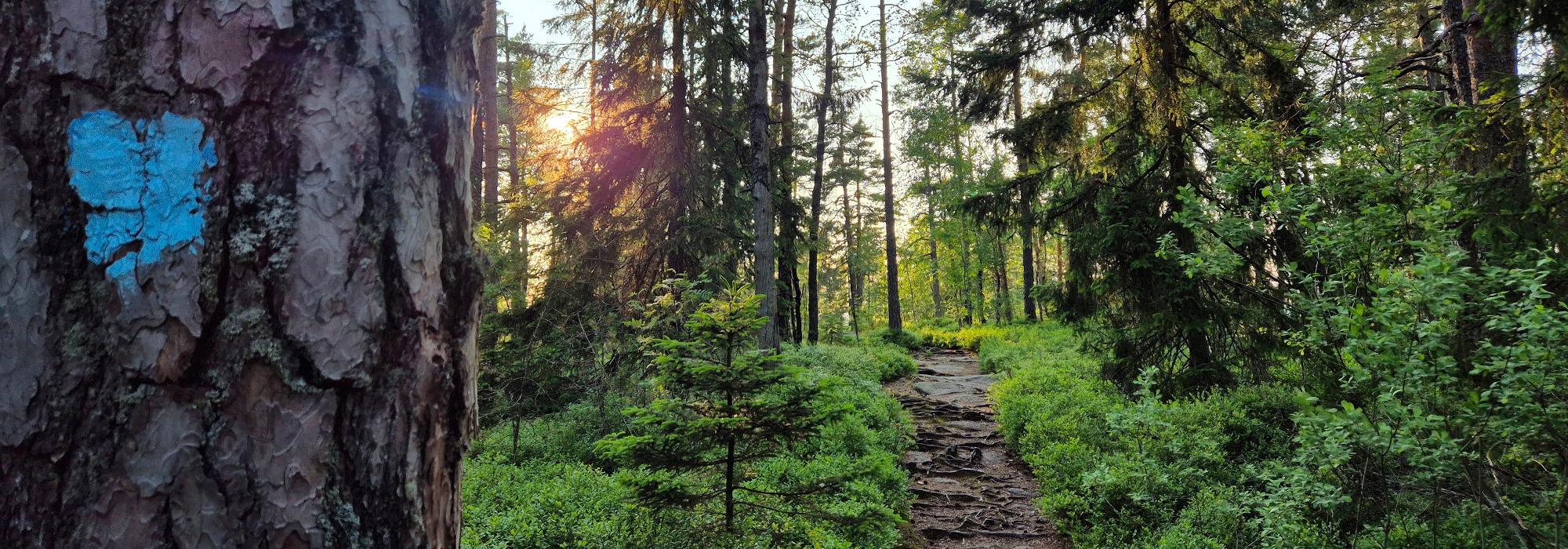 UT Pusterommet - tur til Trollets hjerte
