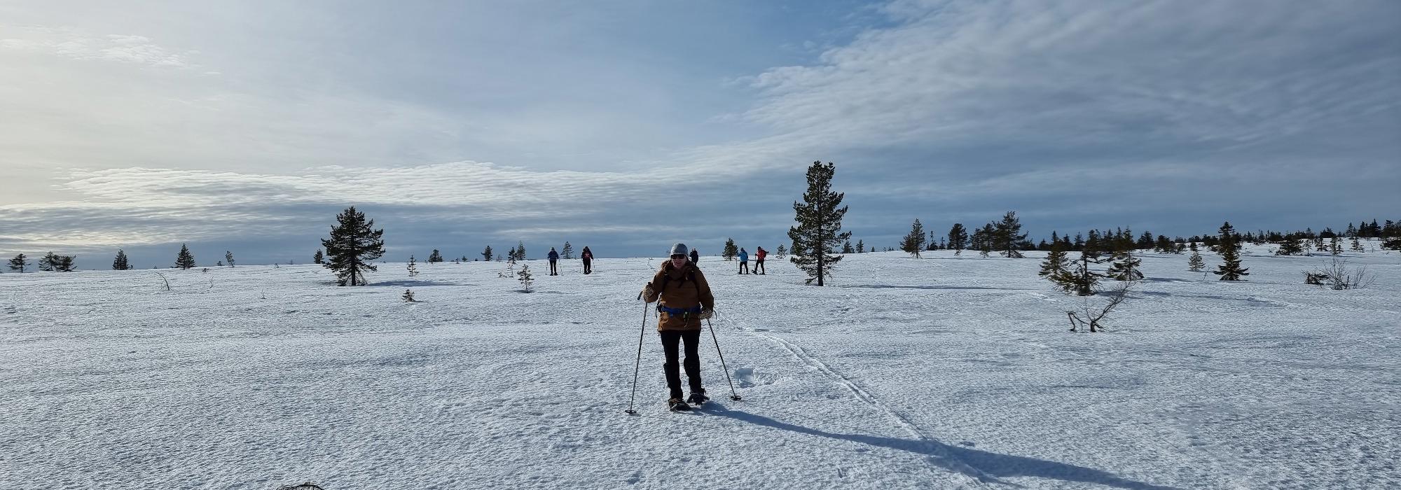 Trugetur til tårnet på Savalsæterkjølen