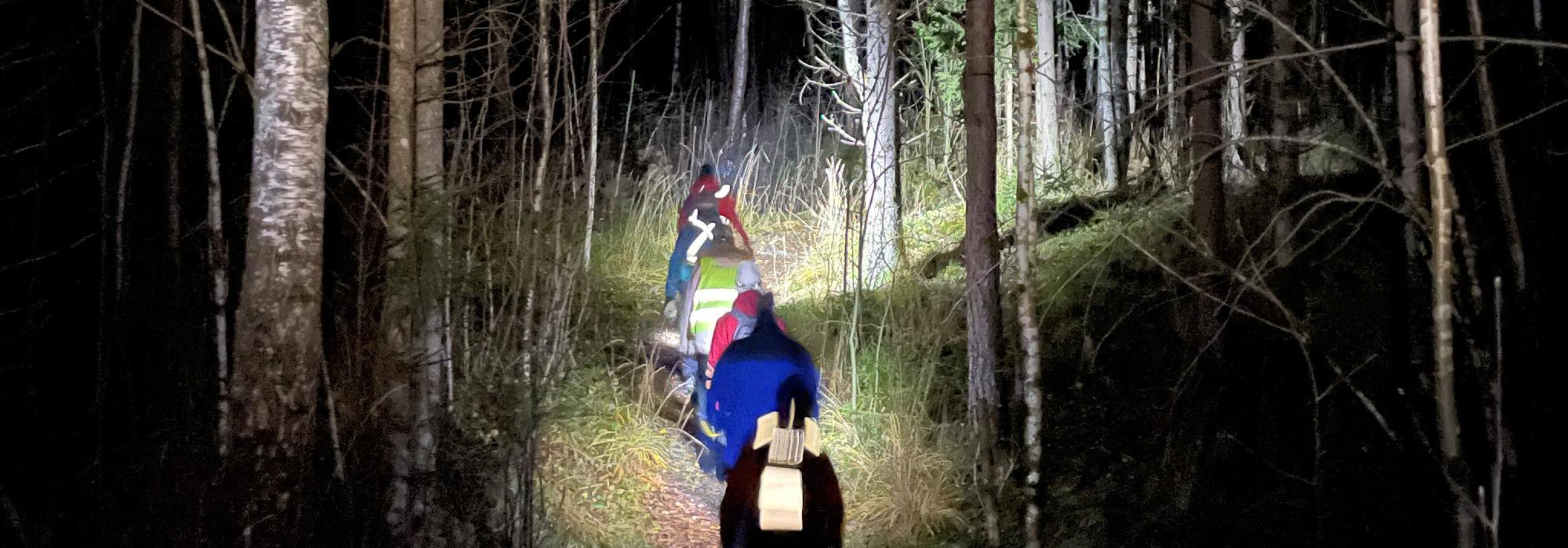 Hodelykttur til fots i Furuberget