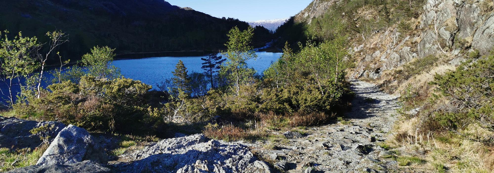 Ferskingtur i telt med Unge Voksne (25–40 år)